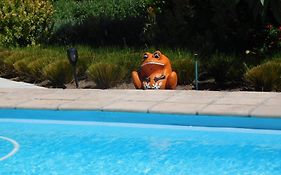 Garden Pool flat